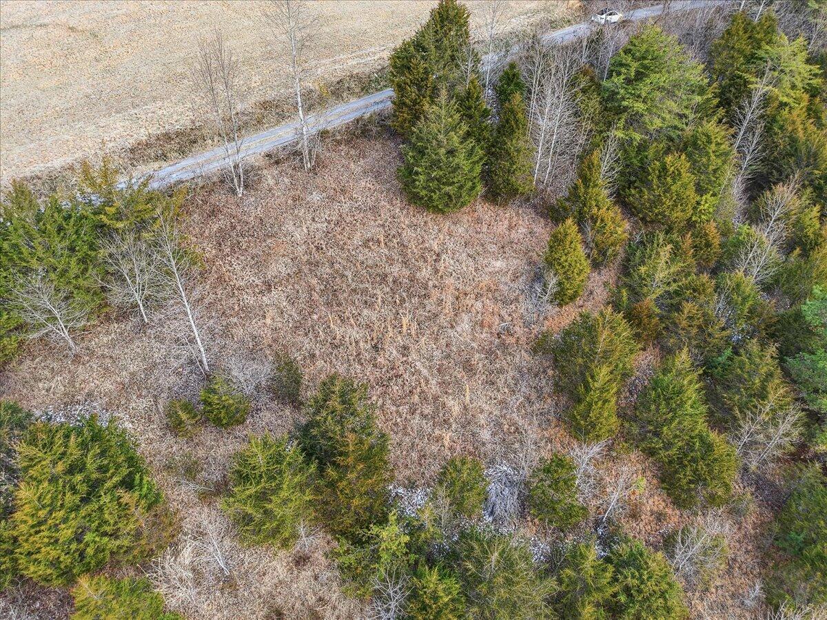 Image 3: 14-Cosby Ridge Rd-12