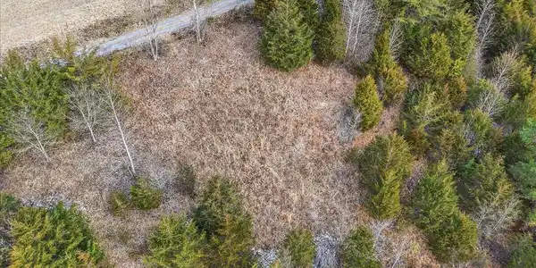 Image 3: 14-Cosby Ridge Rd-12