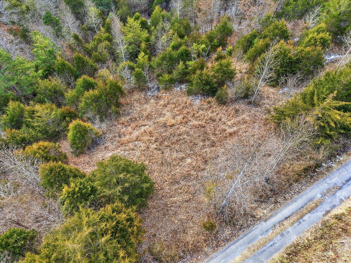 Image 4: 15-Cosby Ridge Rd-13