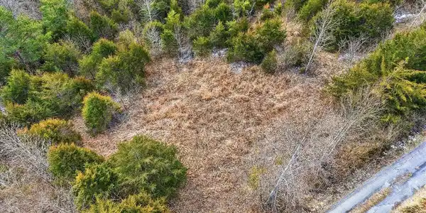Image 4: 15-Cosby Ridge Rd-13