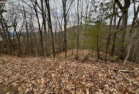 7/AC TBD Pinnacle Point