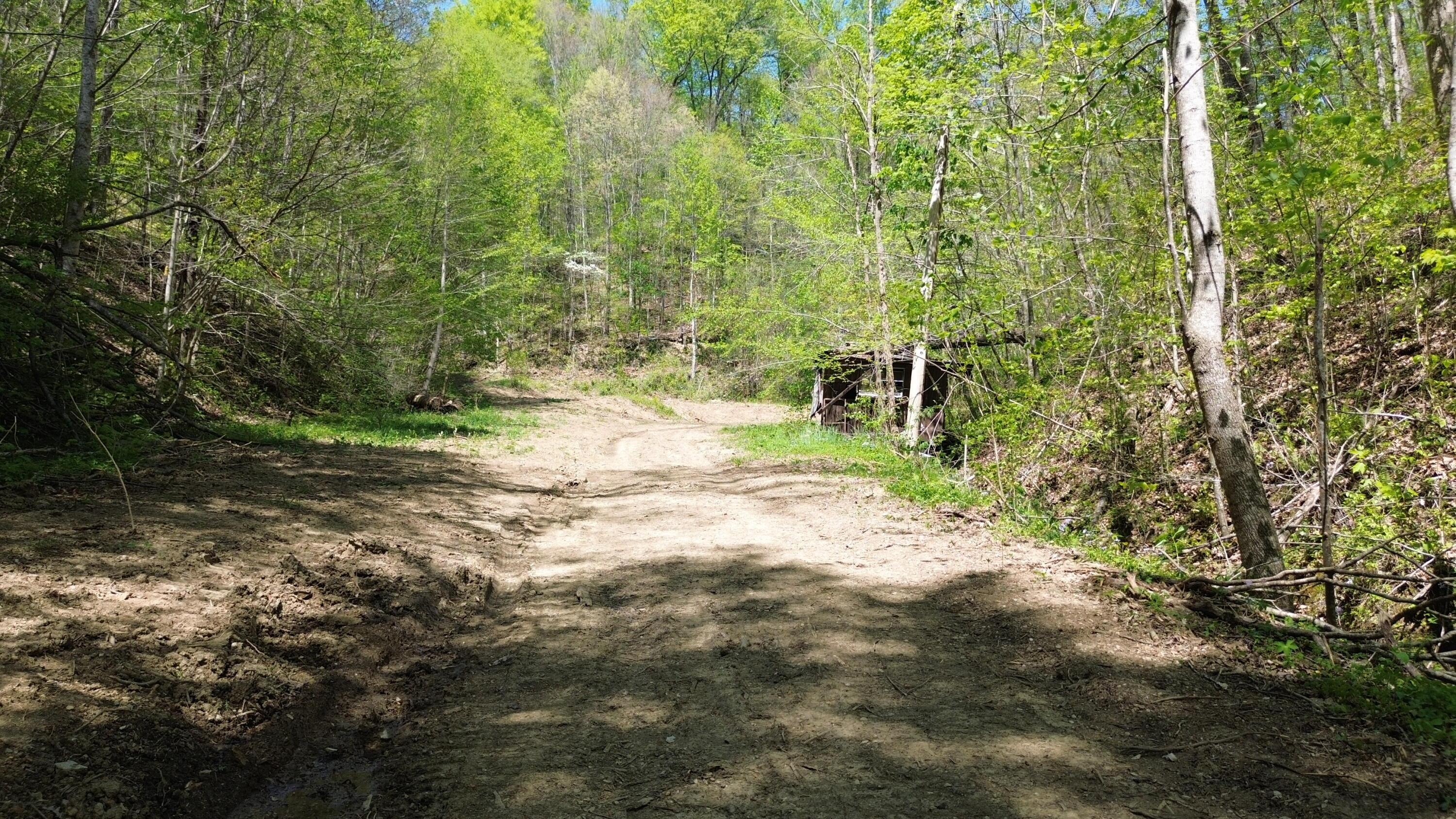 Image 3: DJI_0443