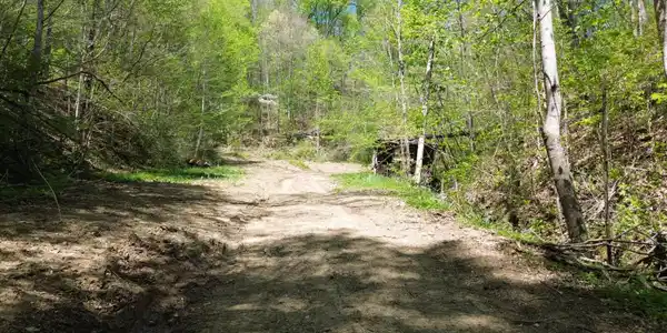 Image 3: DJI_0443