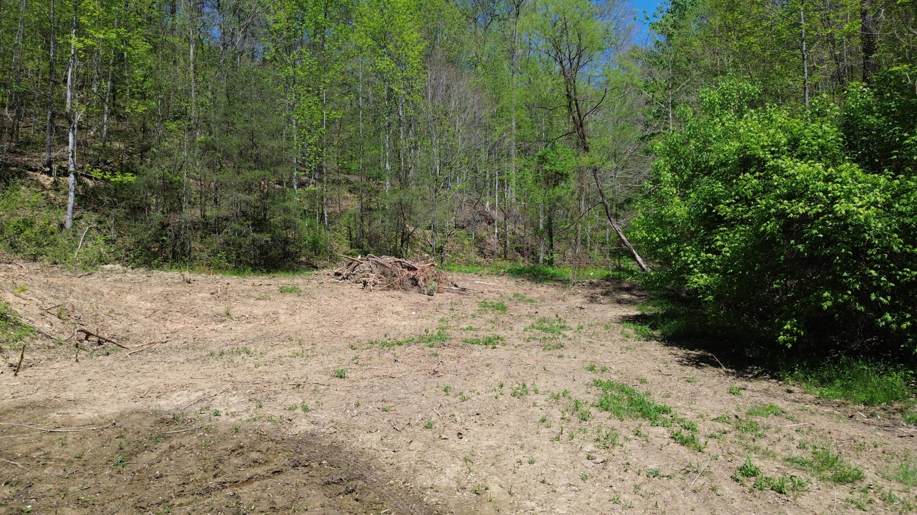 Image 4: DJI_0444