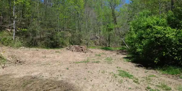 Image 4: DJI_0444