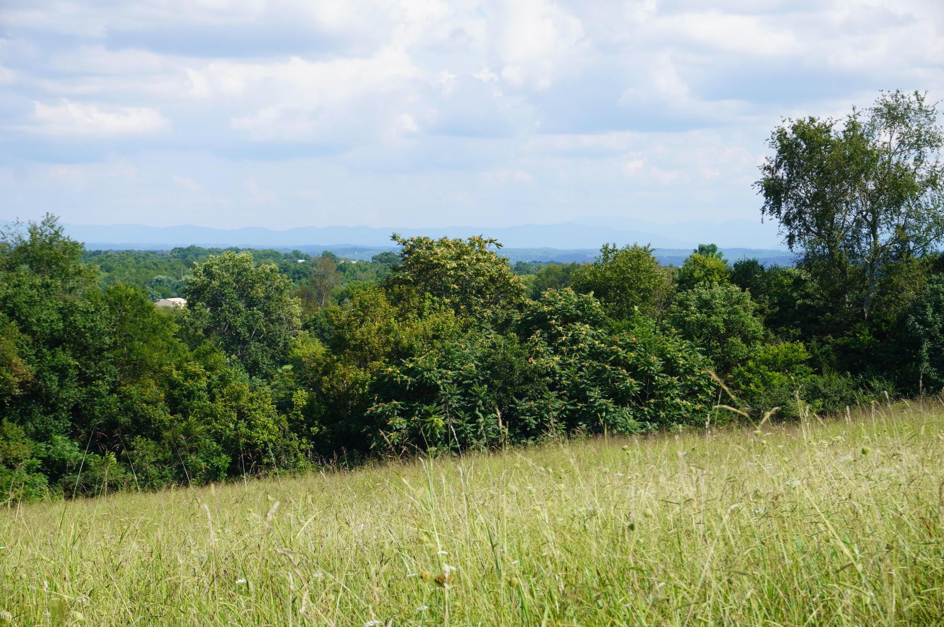 Image 4: robinson creek (50)