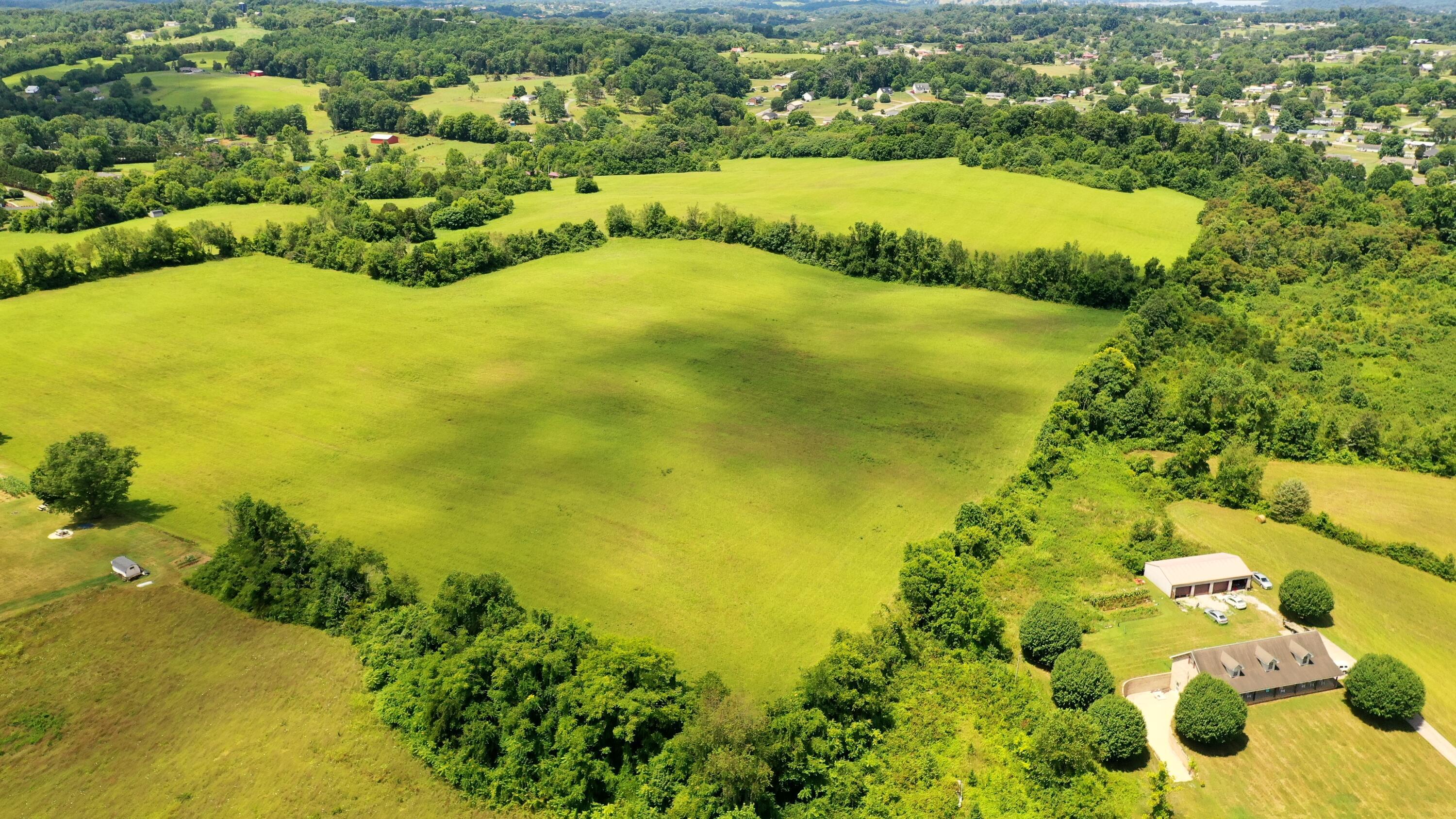 Image 4: DJI_0674