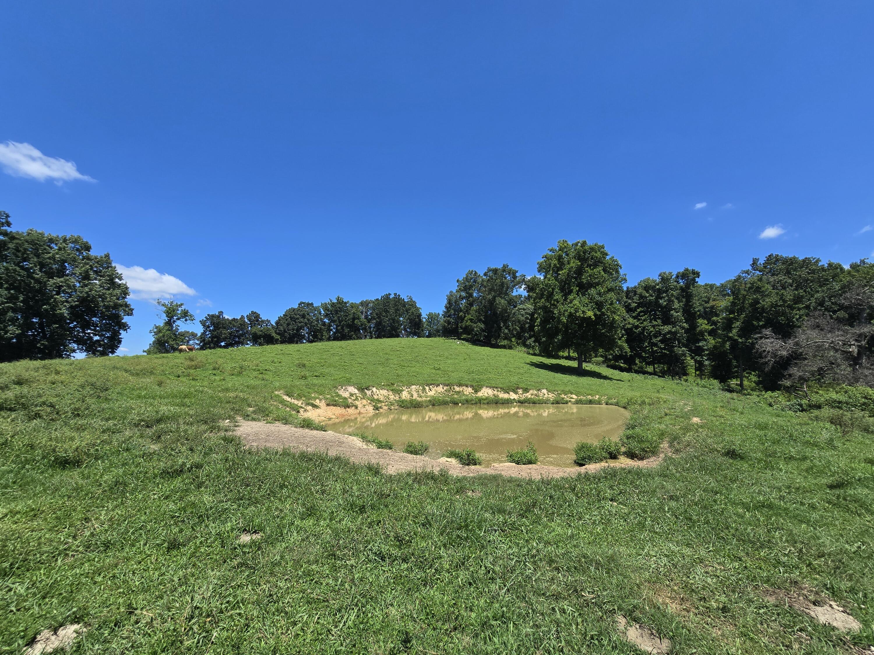 Image 3: 20260730_134504