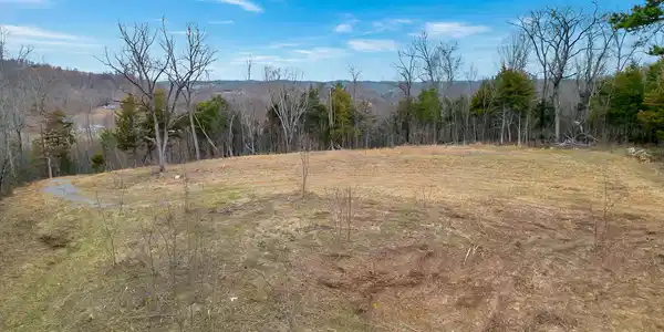 Image 2: dji_0986
