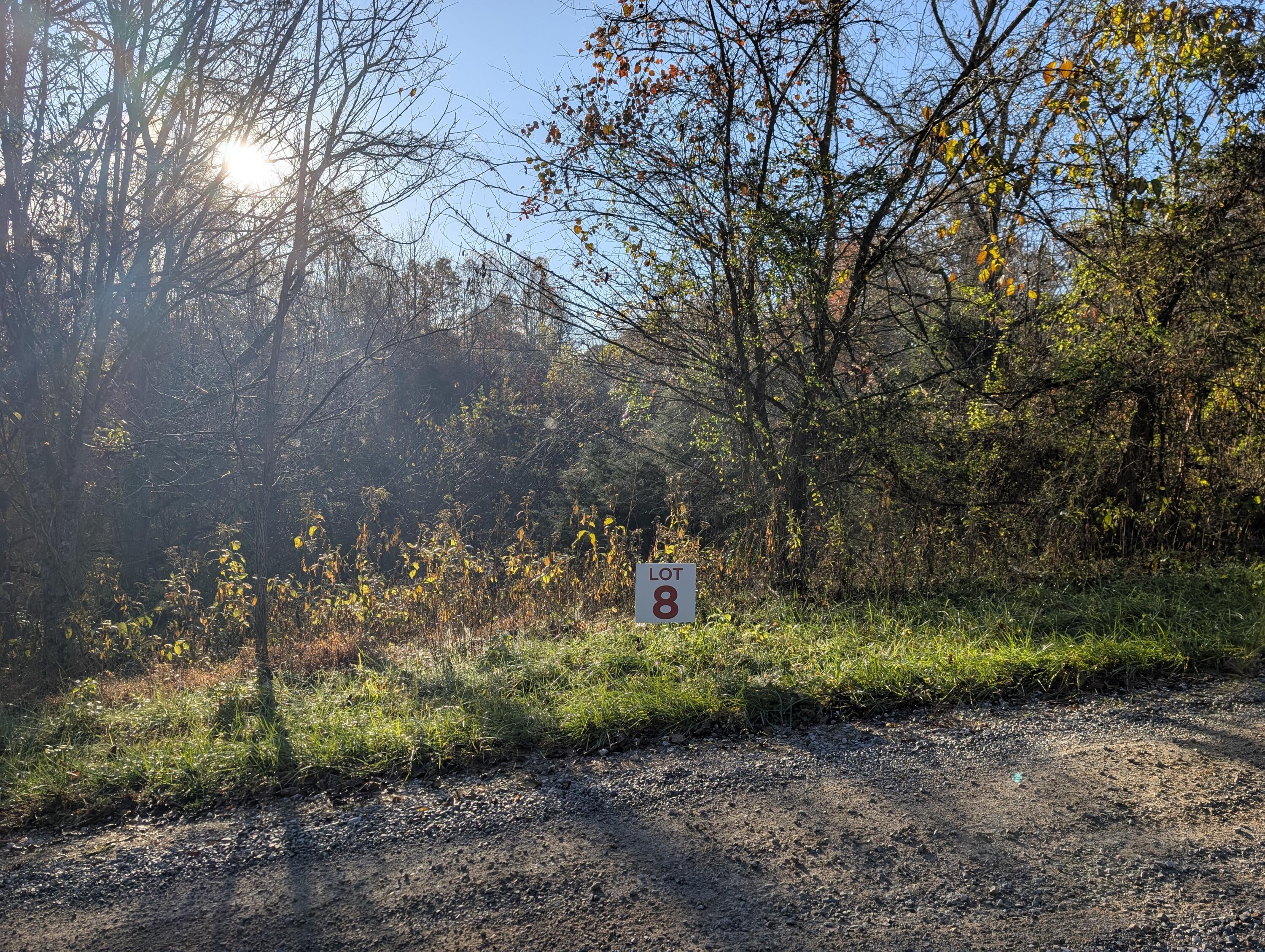 Image 2: PXL_20251105_133032650