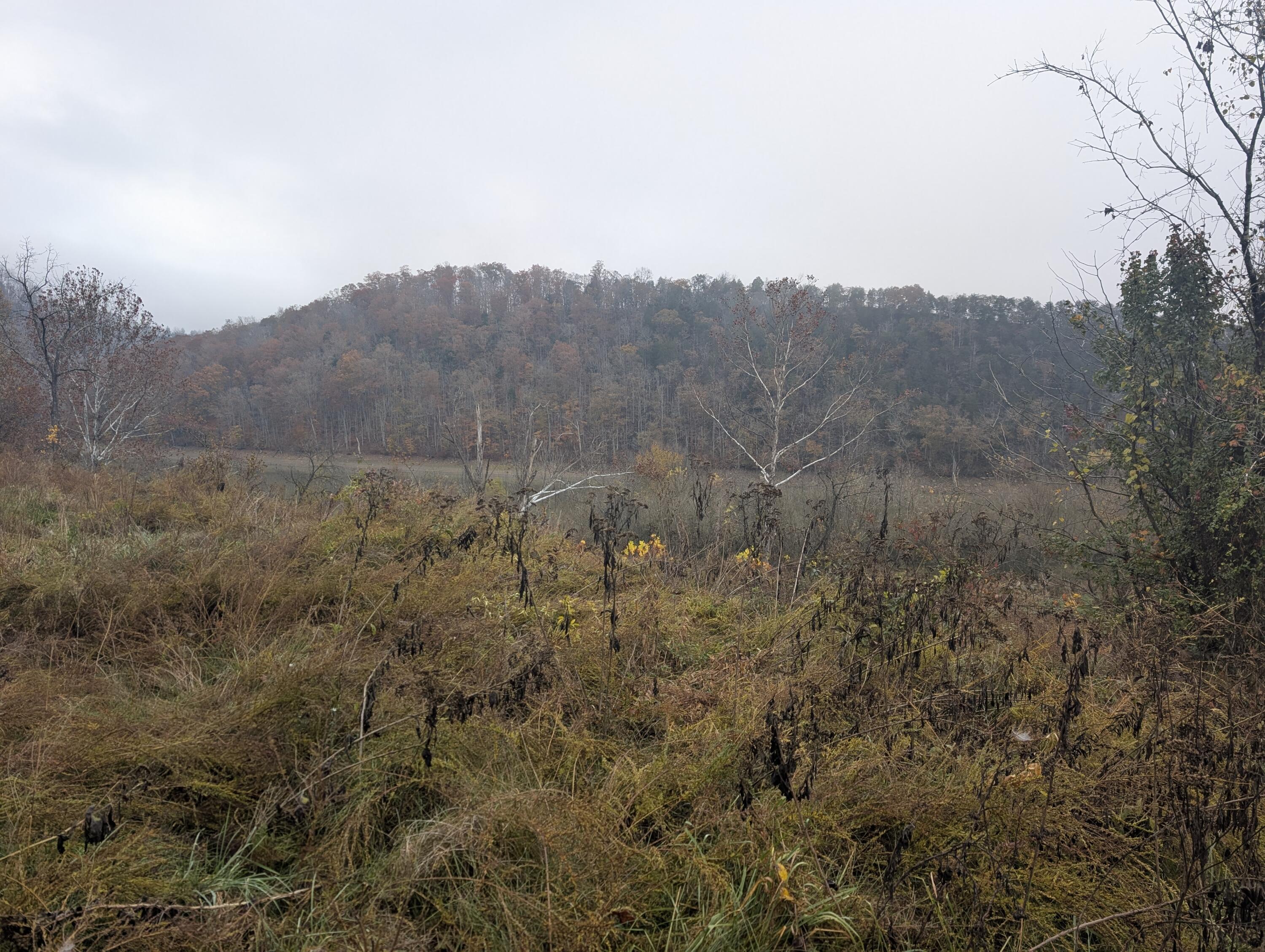 Image 3: PXL_20251108_155036294