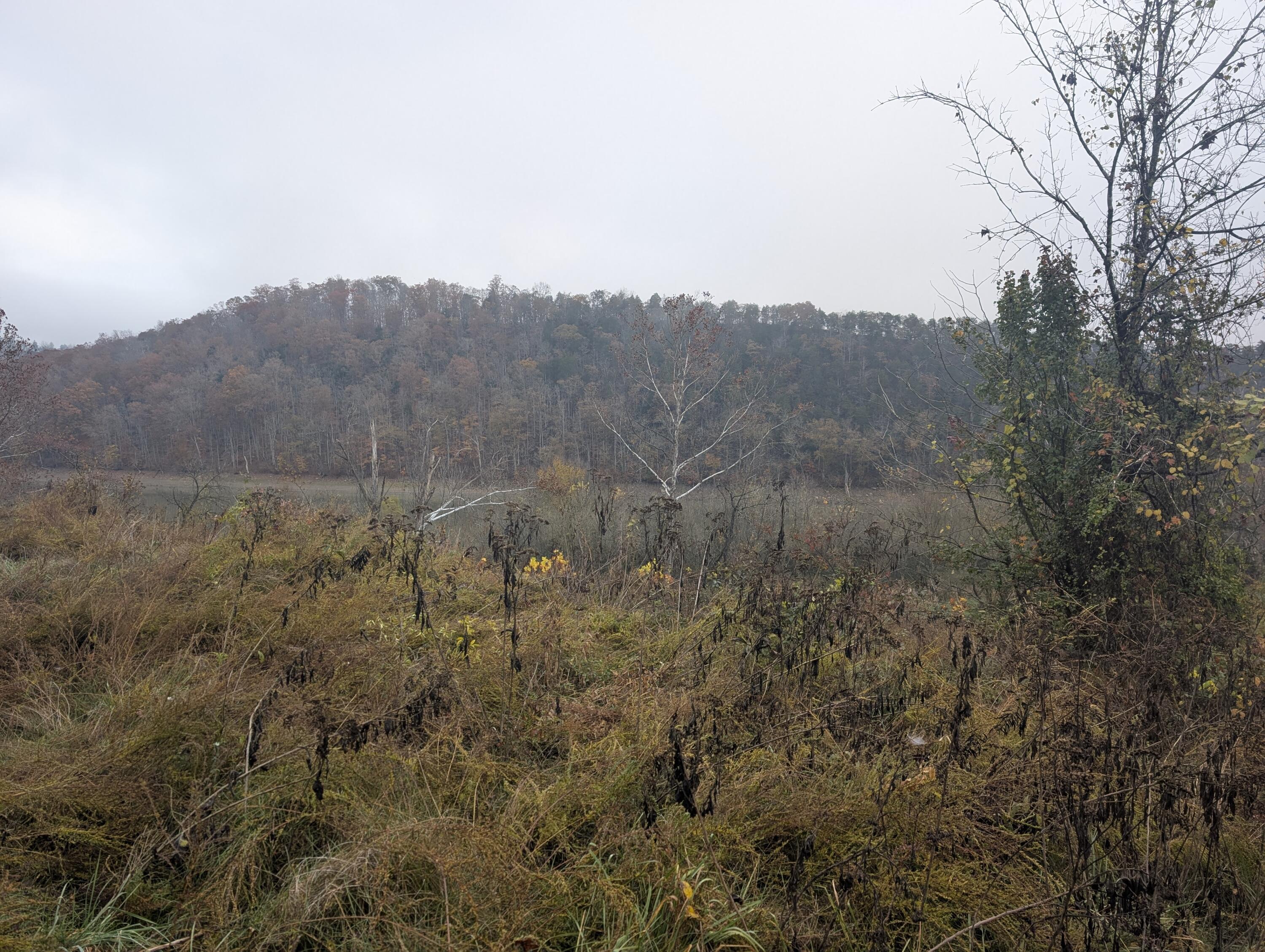 Image 4: PXL_20251108_155038854