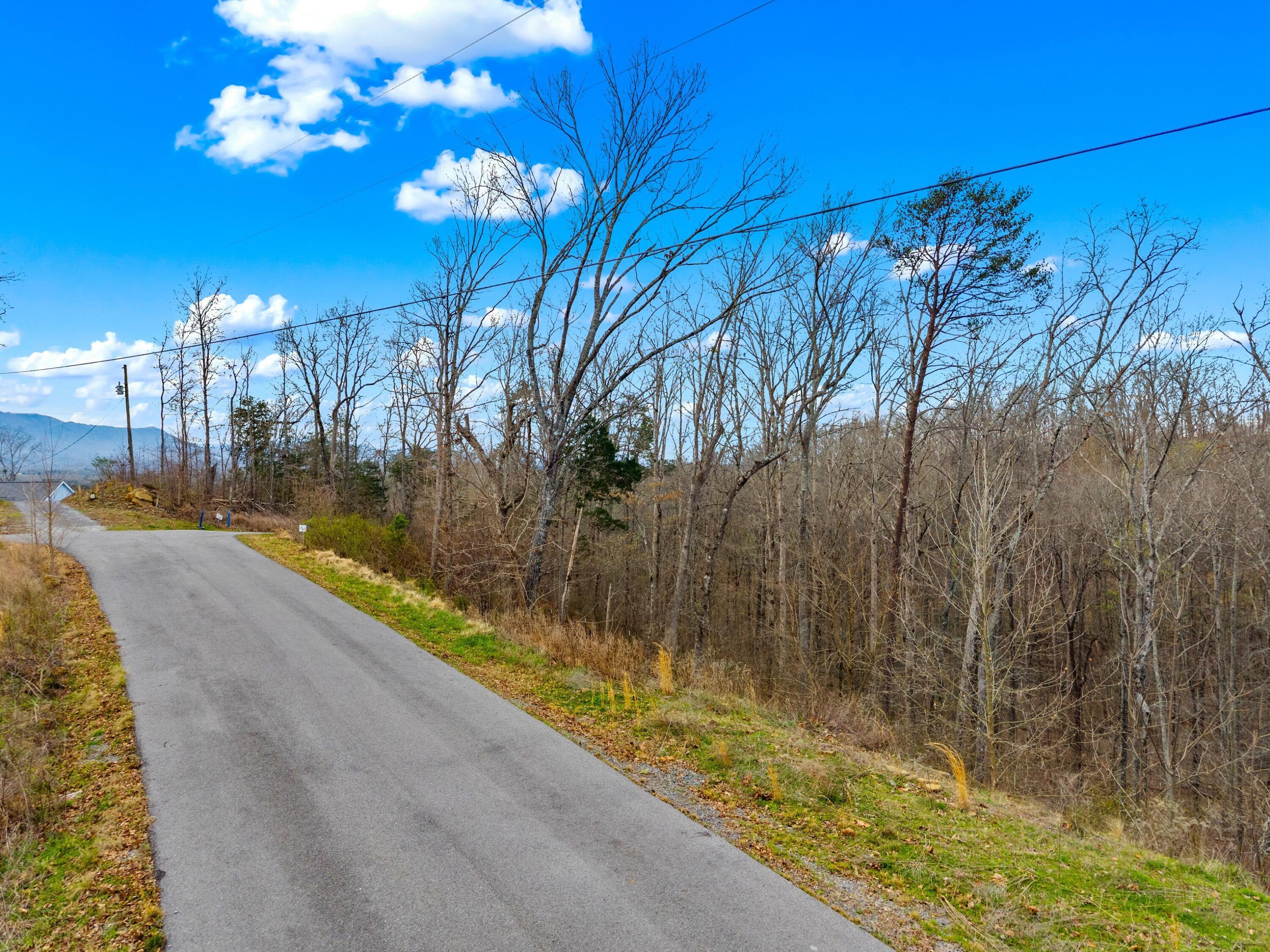 Image 4: 004-WatersideCoveDrive-TN-37725-SMALL