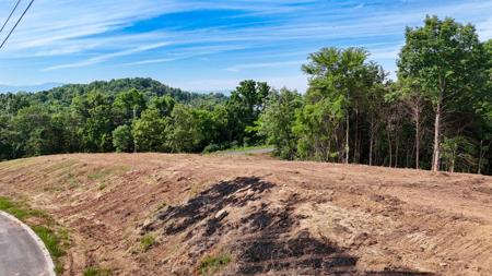Lot 36 Mountain Lake Drive