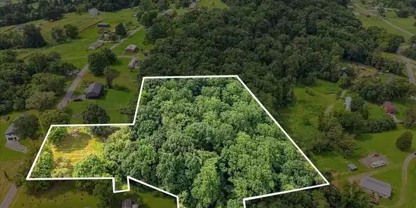 Image 2: 01-Lot 1 Shannons Little Mountain Rd 1
