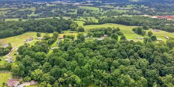 Image 4: 03-Lot 1 Shannons Little Mountain Rd 3