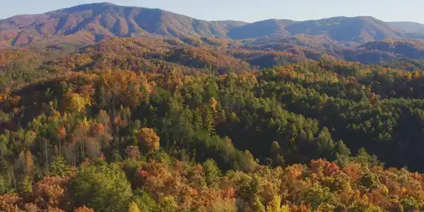 410 Seay Hollow Road Road