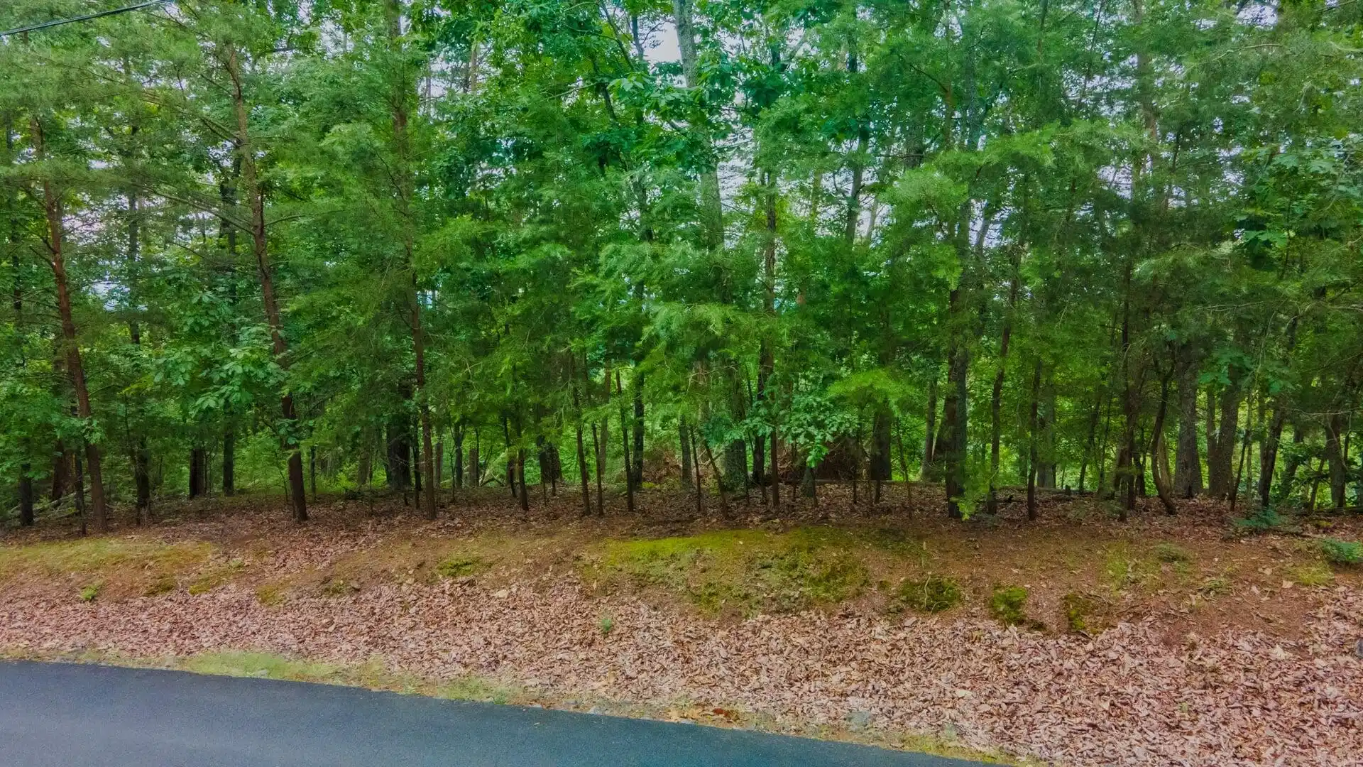 Image 1: DJI_0251-HDR