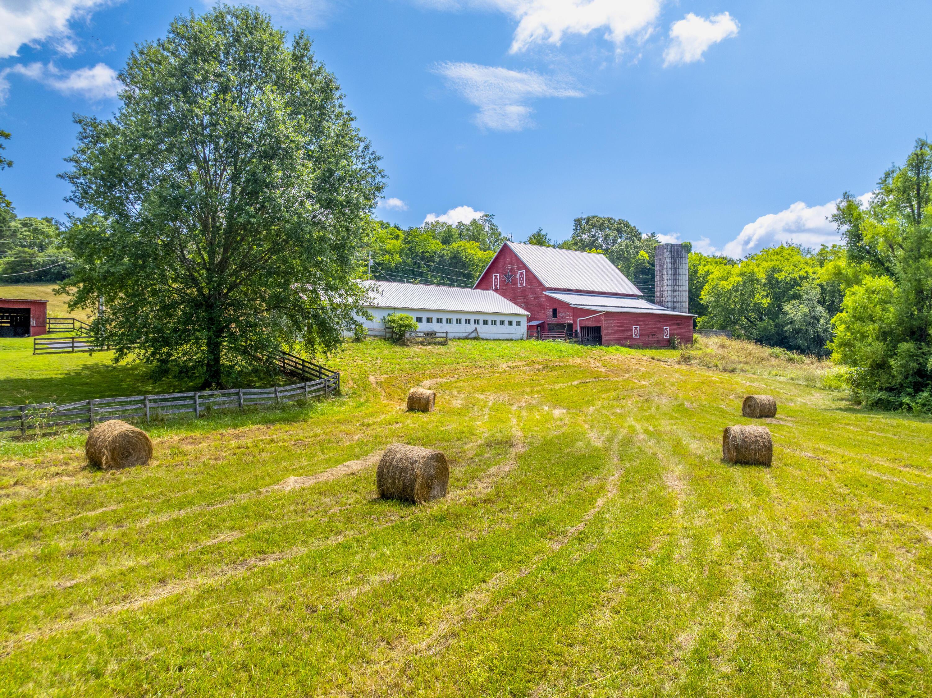 Image 4: DJI_0493-HDR