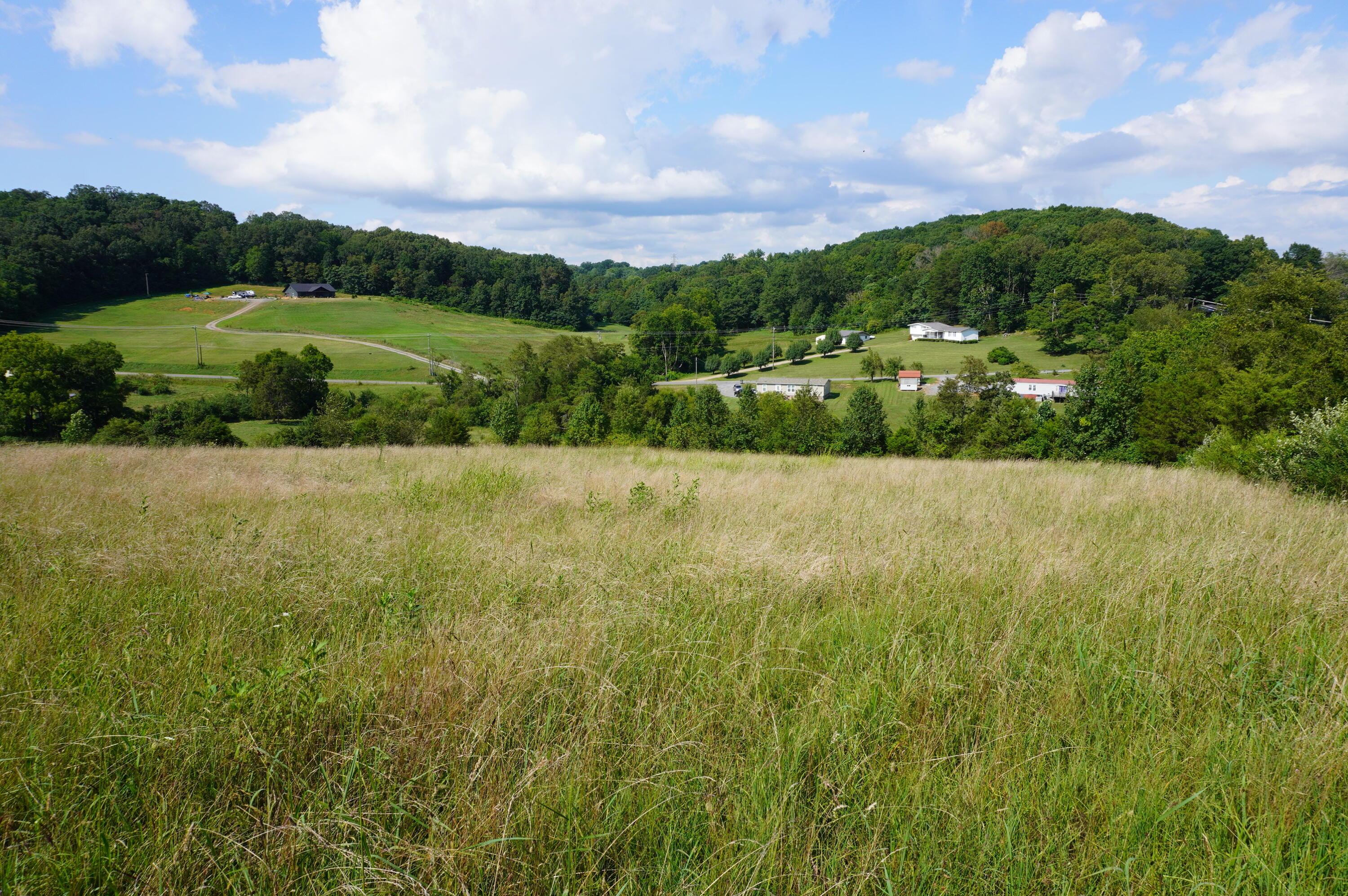 Image 3: robinson creek (48)