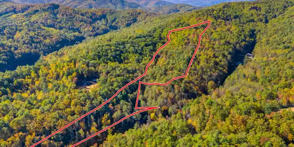 5.37 Acres Reece Hollow Road