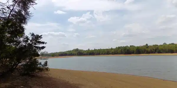 Image 2: Year Round Water