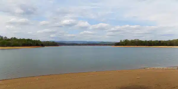 Image 3: Main Channel