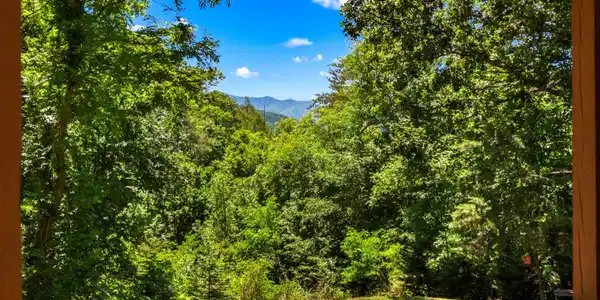 Image 2: 033-3009WindingWay-Cosby-TN-37722-SMALL