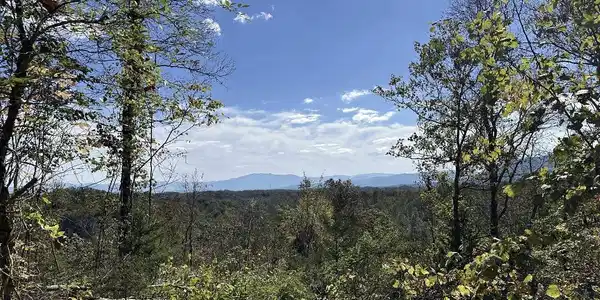 036 Happy Creek Road