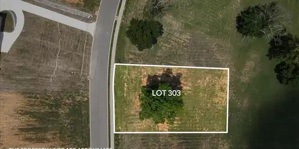 Image 4: 68-Lot 303