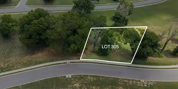Image 2: 74-lot 305