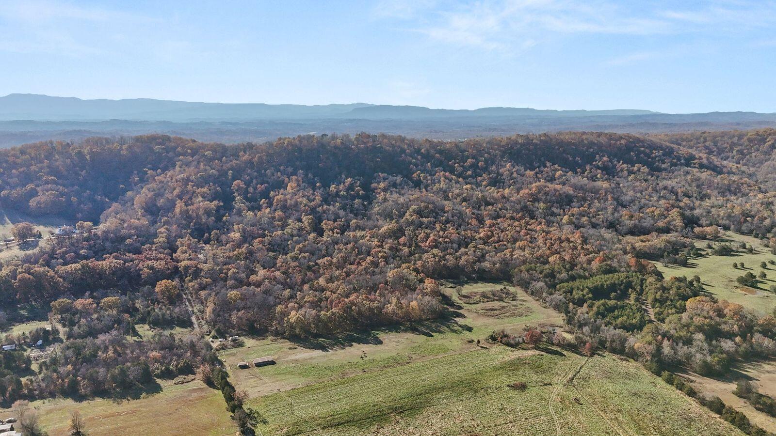 Image 1: Main Pic