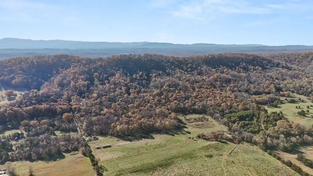 Image 1: Main Pic