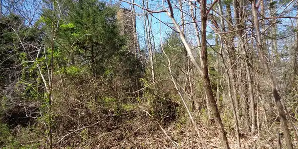 LOT 1 5375 FRED MARSHALL Road