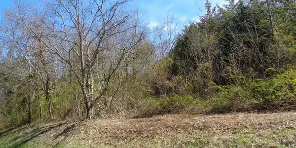 LOT 2 5375 FRED MARSHALL Road