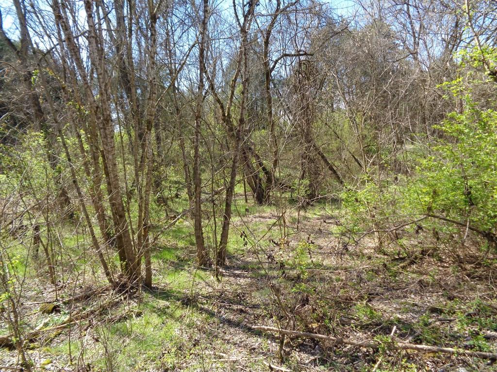Image 2: Photo 2
