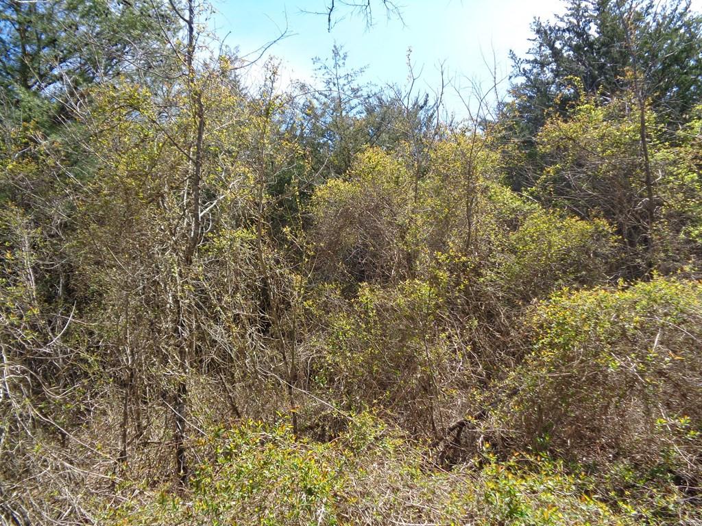 Image 3: Photo 3