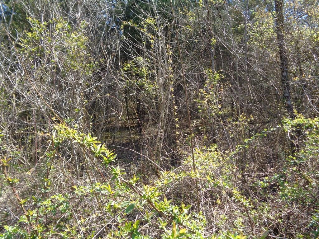 Image 4: Photo 4