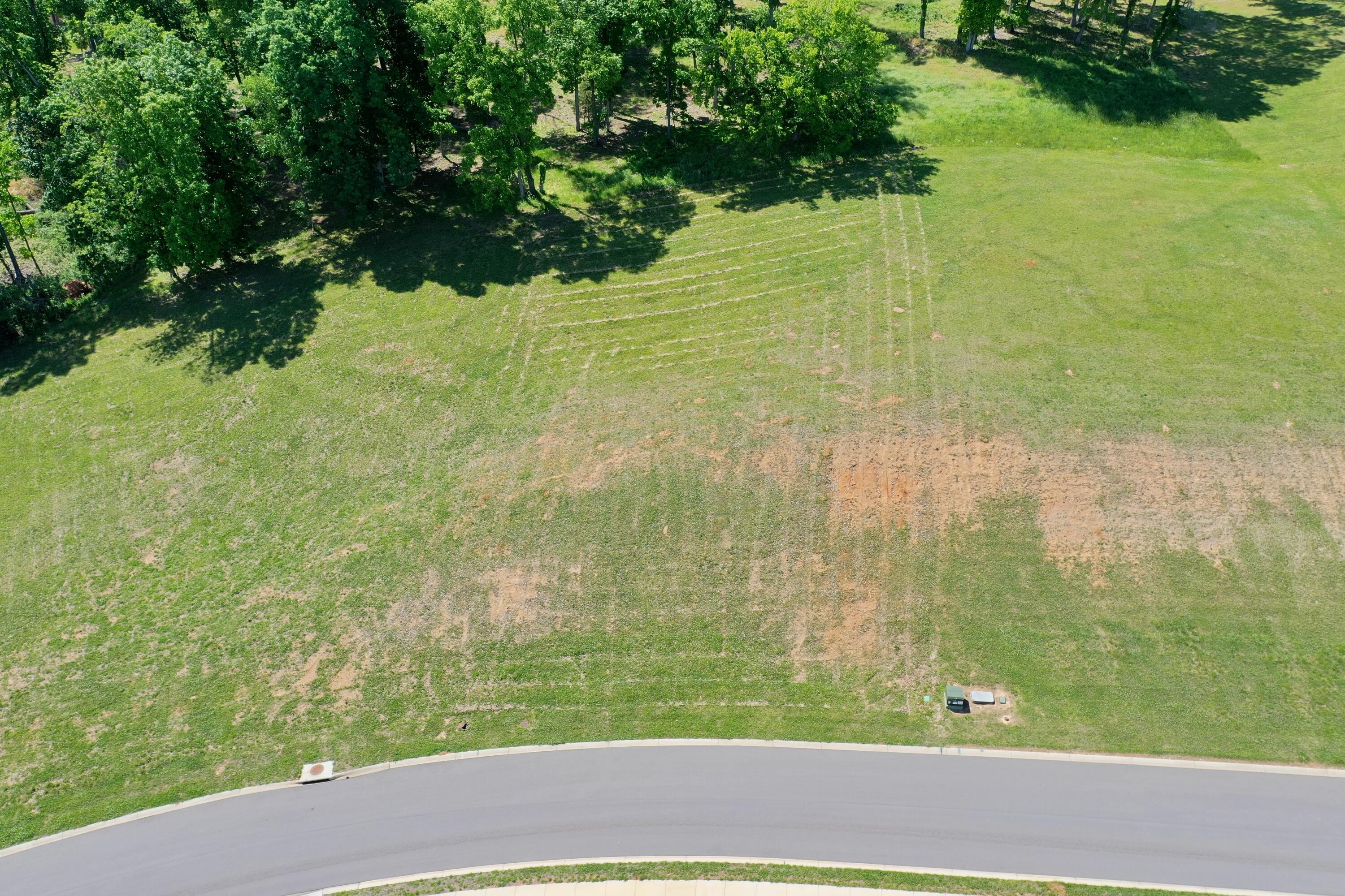 Image 2: DJI_0879