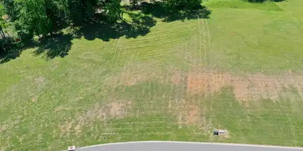 Image 2: DJI_0879