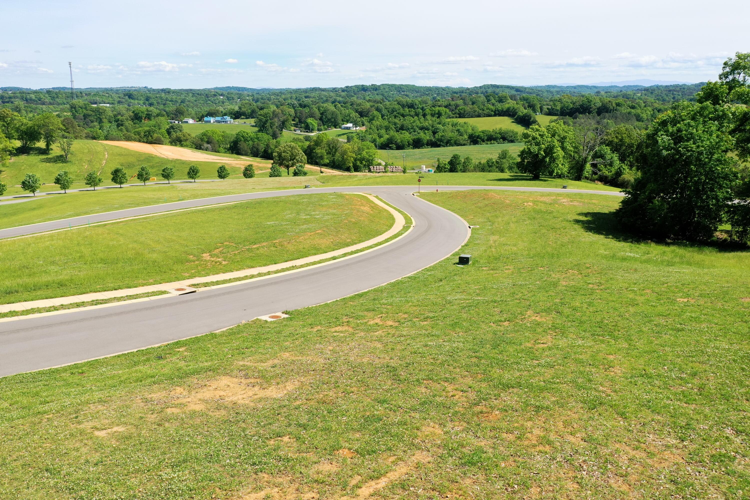 Image 4: DJI_0881