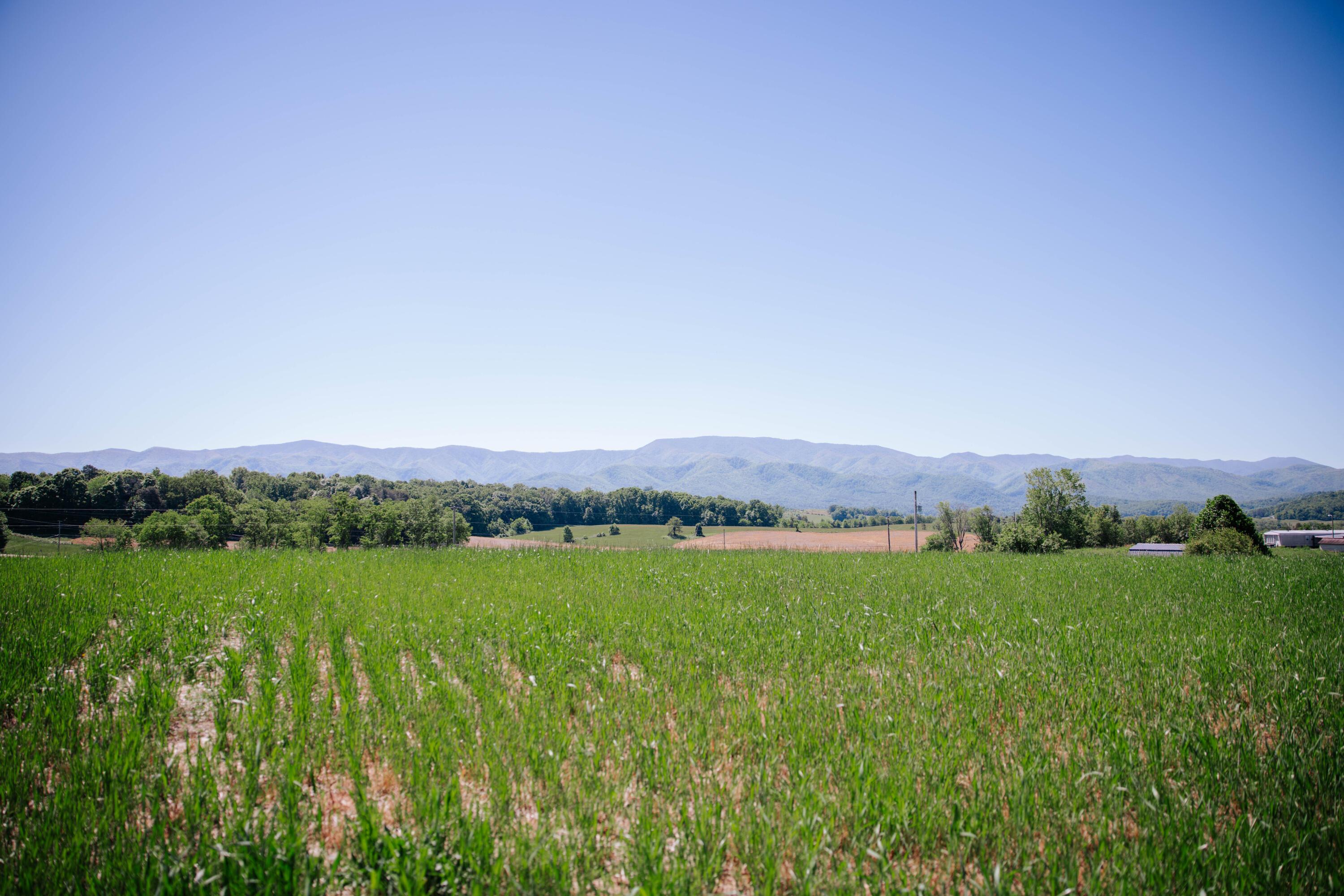 Image 1: Mountain Views Tract 1&2