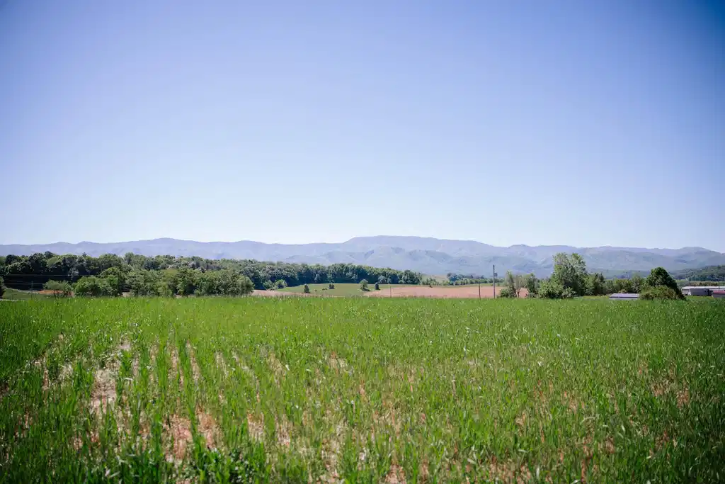 Image 1: Mountain Views Tract 1&2