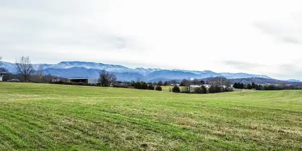 Image 3: Mountain Views