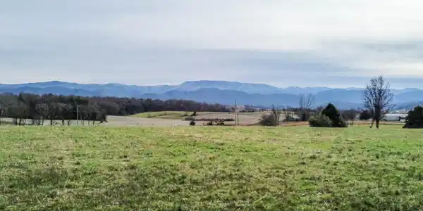 Image 3: Mountain Views