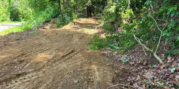Image 2: Main
