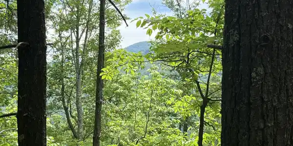 0 Gulf Road