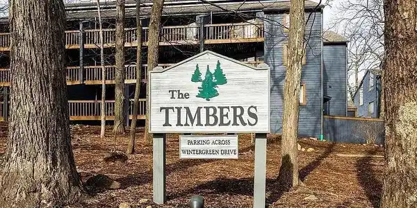 234 TIMBERS CONDOS