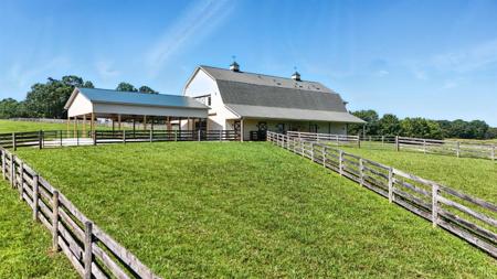 1433 Piney Mountain