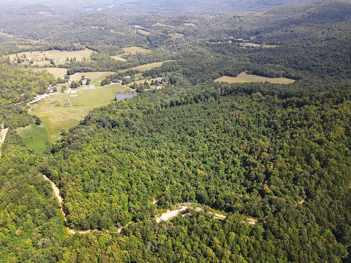 Image 4: 1